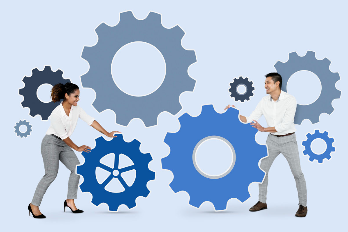 Mehr über den Artikel erfahren Interdum magna augue eget